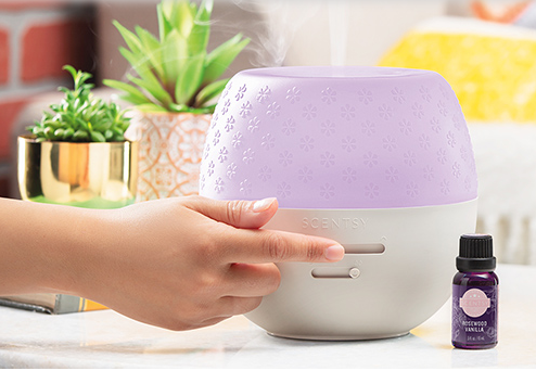 Scentsy MLM Review - product pic